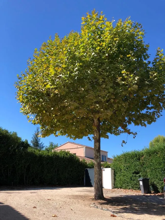 Villa Avec Vue Campagne Carpentras Homestay